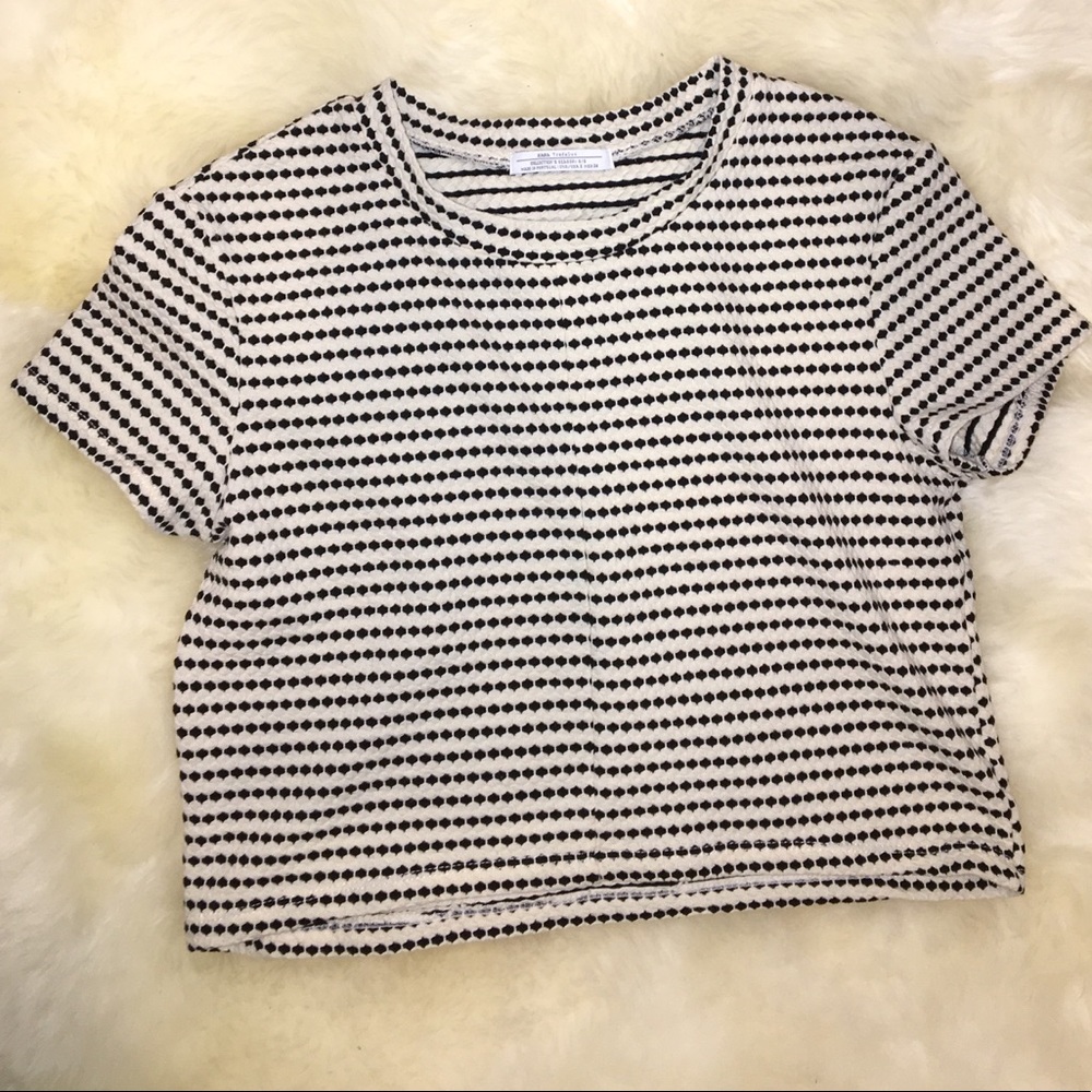 Tight High Neck Polka Dot Crop Top